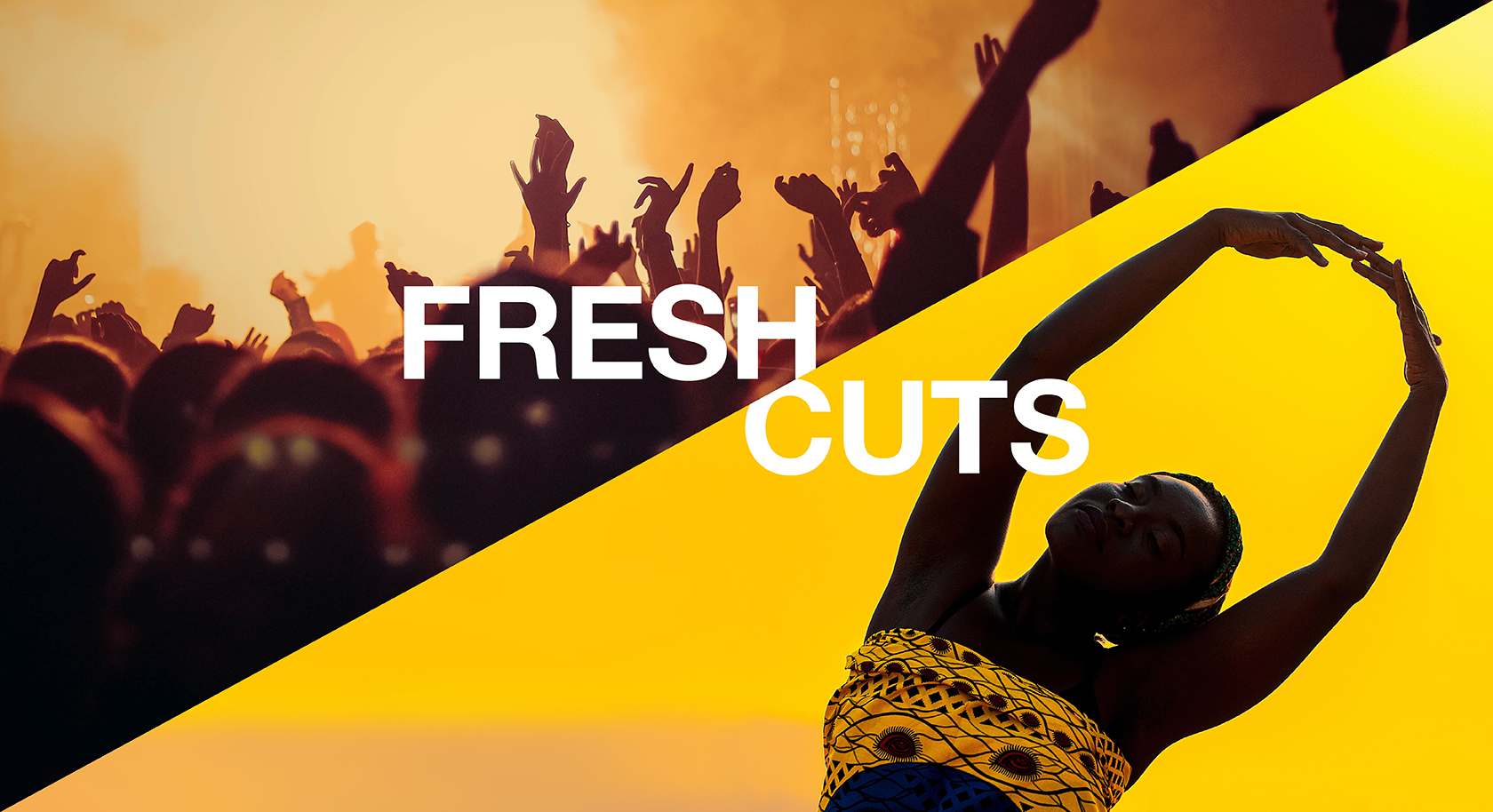 Fresh Cuts Documentary Pitch AIDC