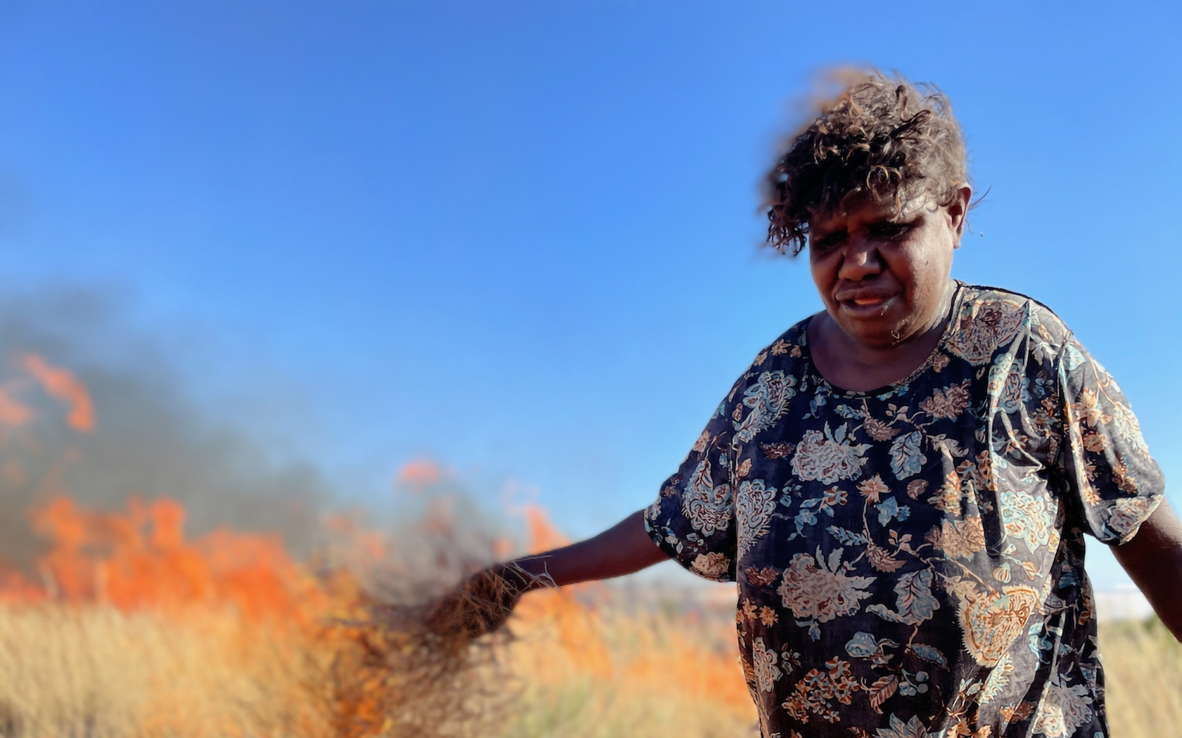 FOCUS ON SHARK ISLAND FOUNDATION - image